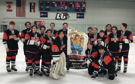 Southern Youth Travel Hockey League Hockey powered by GOALLINE.ca
